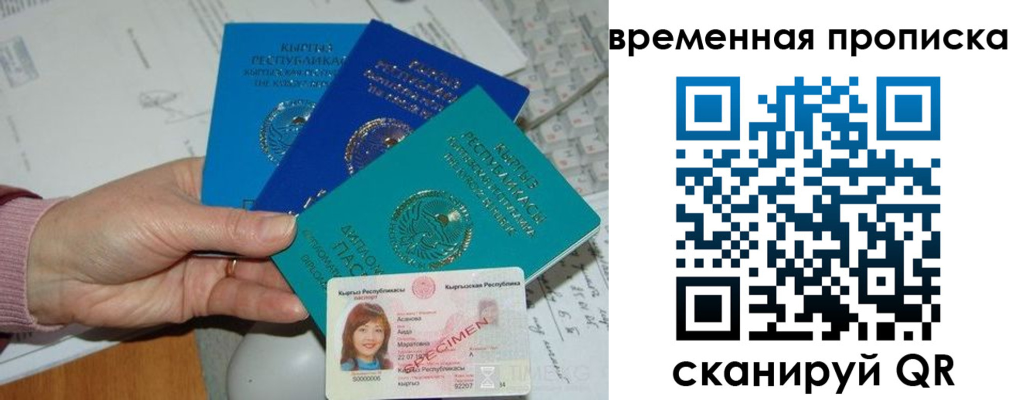 прописка для школы в Раменском